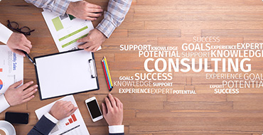 Consulting Services